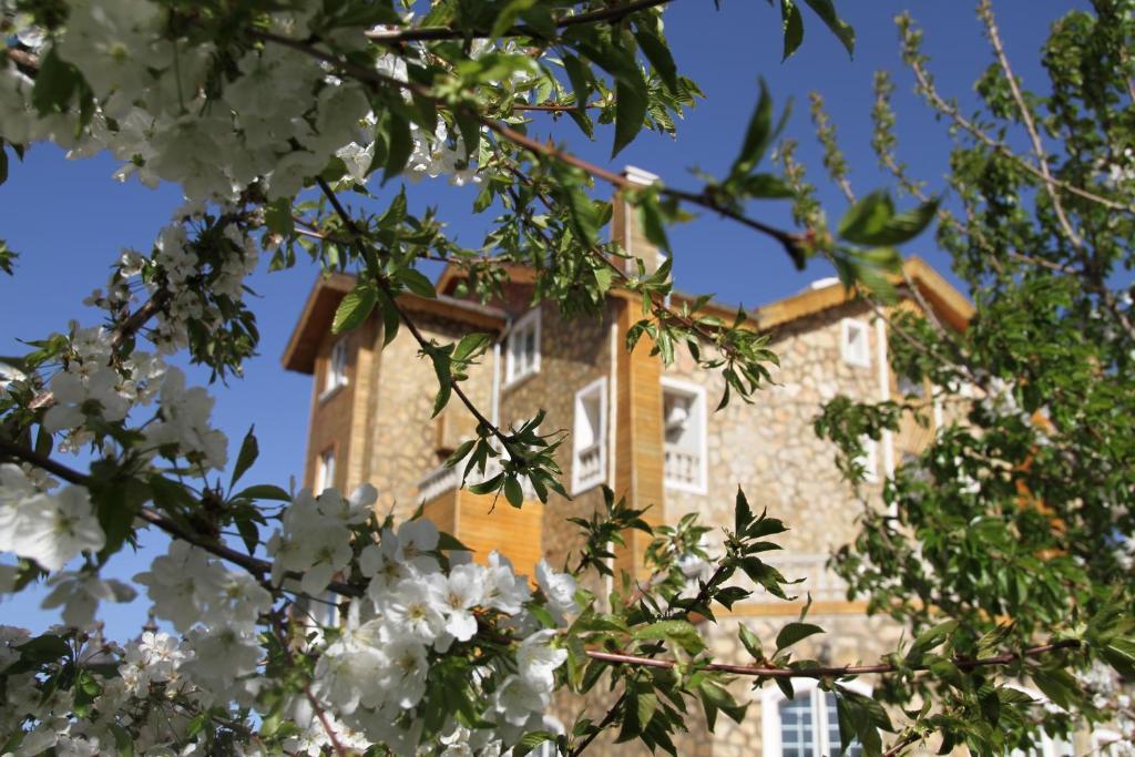 Le Palais Des Cerisiers Gasthof